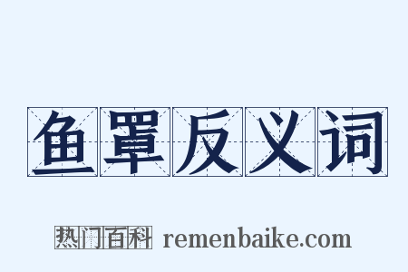 鱼罩反义词是什么意思的图片
